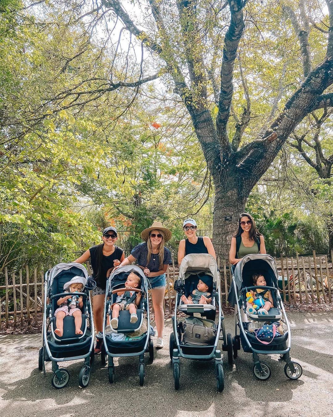 Four women standing outdoors in a park with large trees, each behind a baby stroller with a baby inside. The scene is bright and natural, with green foliage and a fence in the background.