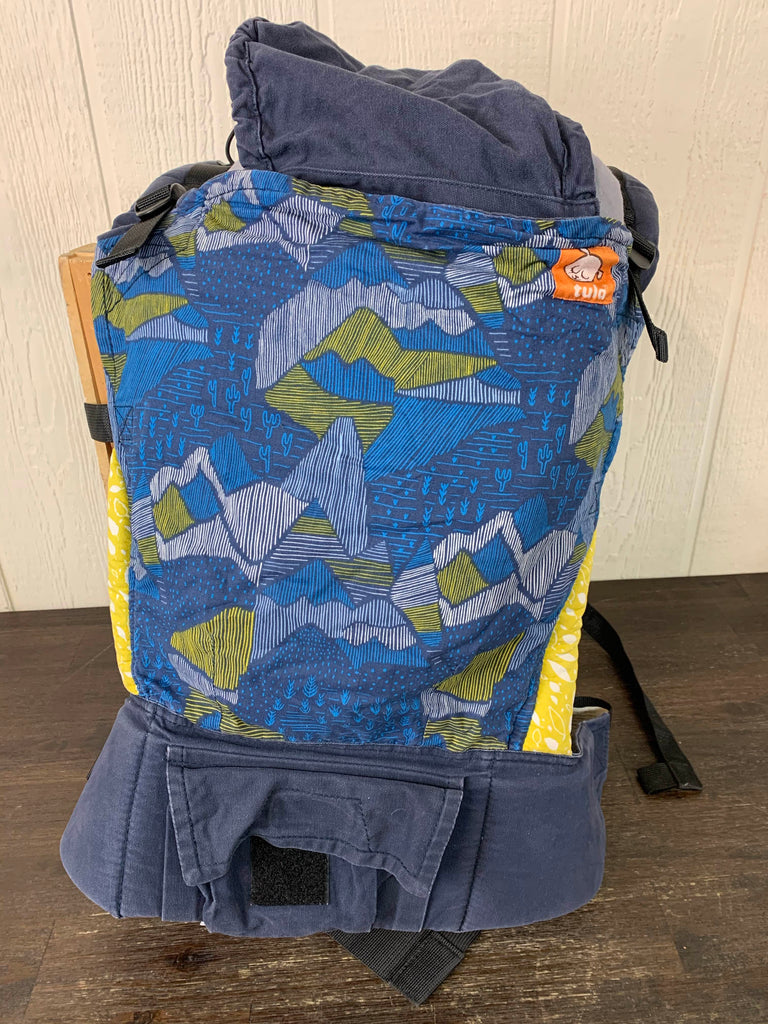 Baby Tula Standard Carrier With Infant Insert