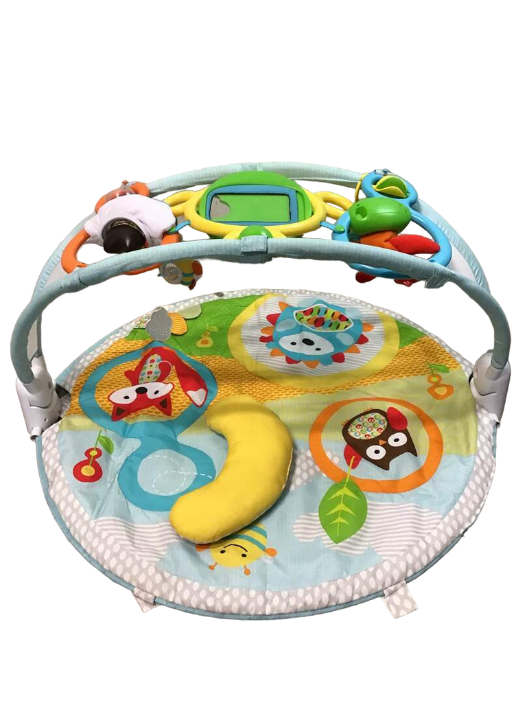 Skip hop 2024 arch activity gym