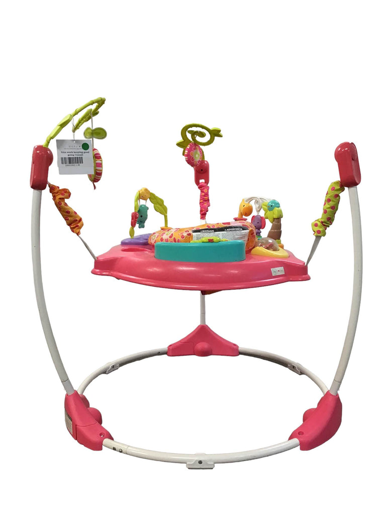 Fisher Price Jumperoo Activity Center, Pink Petals