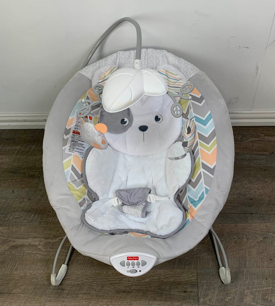 Calming vibrations hot sale bouncer