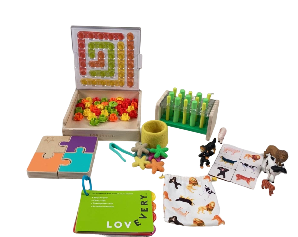 Lovevery The Companion Play Kit