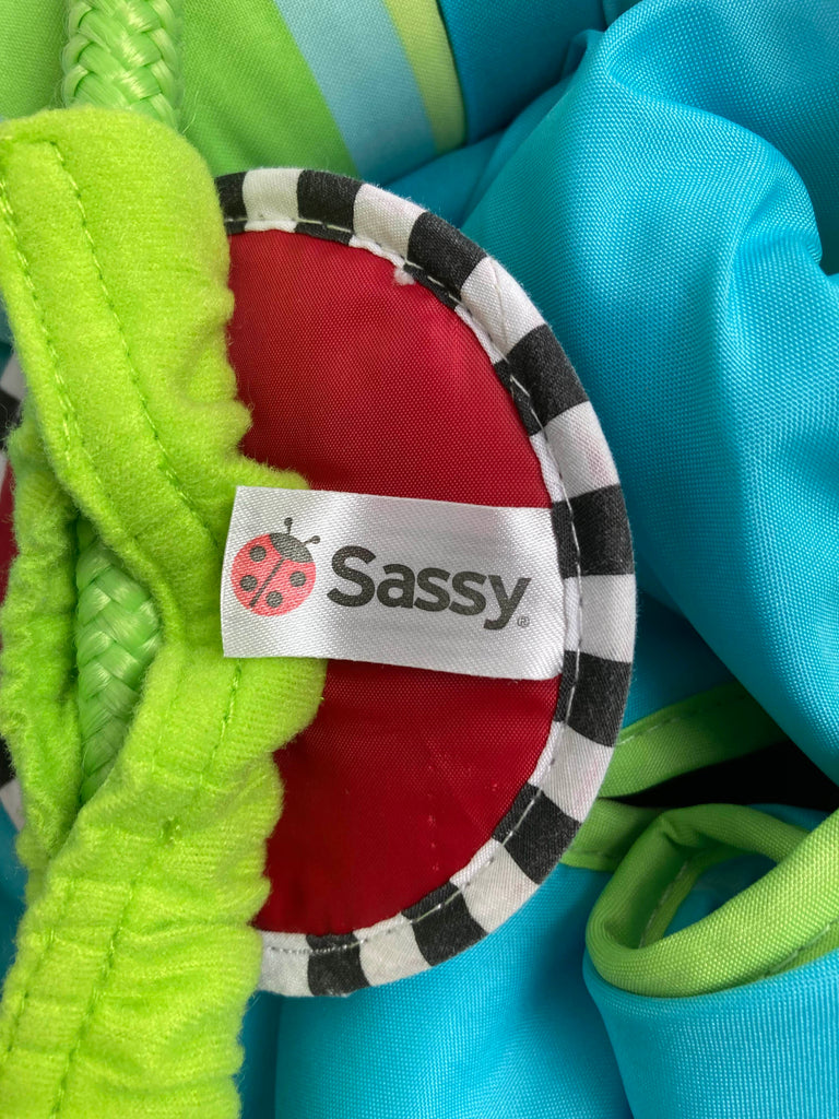 Sassy Doorway Jumper