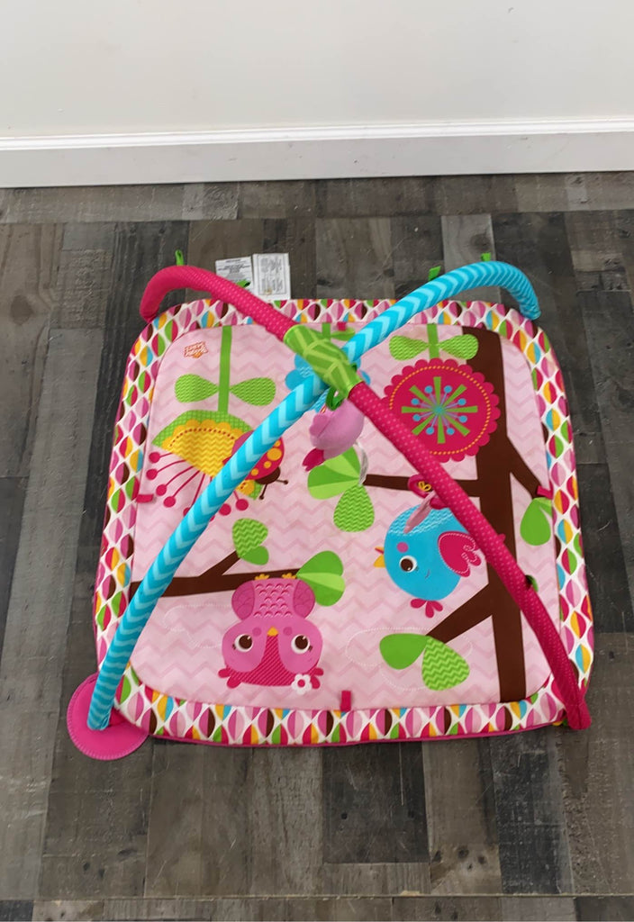 Bright Starts Activity Gym, pink owl