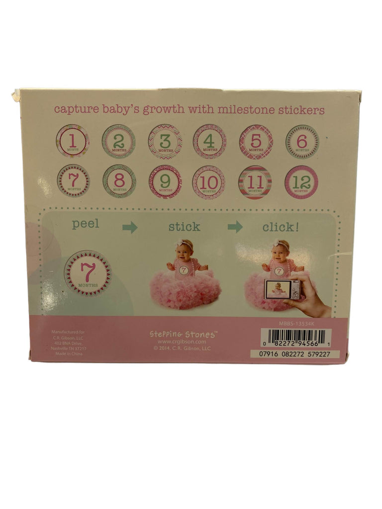 Stepping Stones Baby’s First Year Belly Stickers