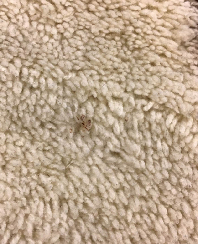 Lambs & Ivy Decorative Rug, 29.5” x 40”