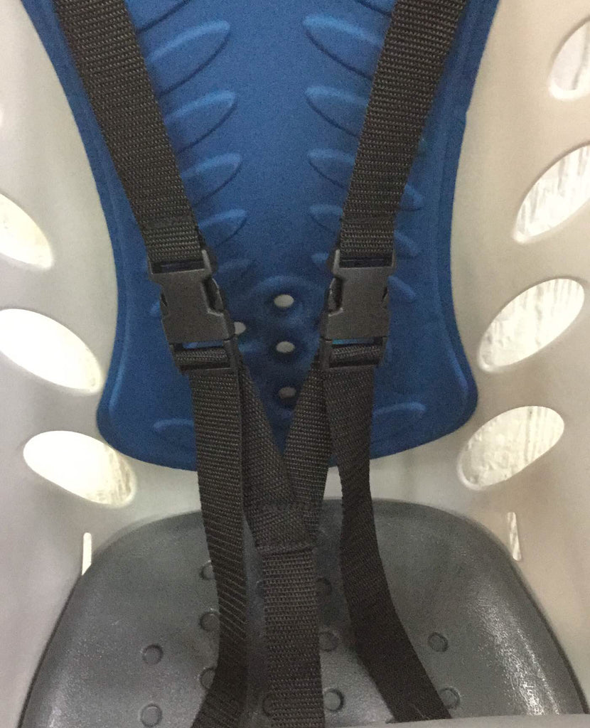 Schwinn Deluxe Child Carrier