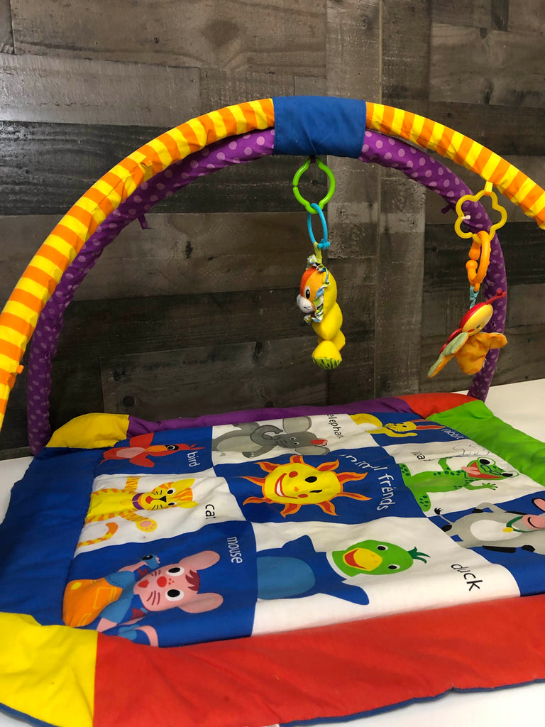 Baby Einstein Play Gym