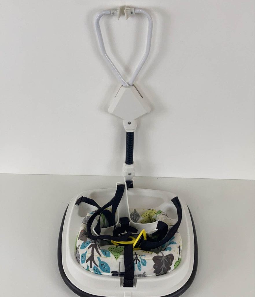 Graco Doorway Bumper Jumper