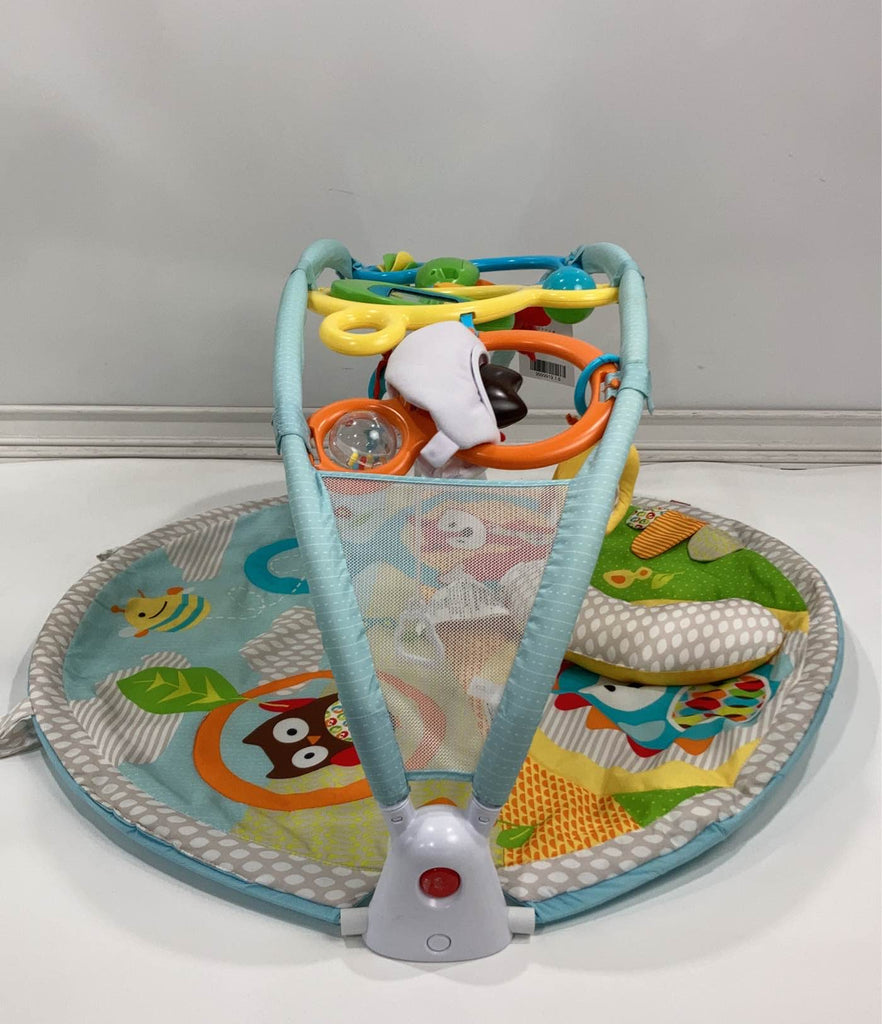 Skip Hop Explore And More Amazing Arch Activity Gym