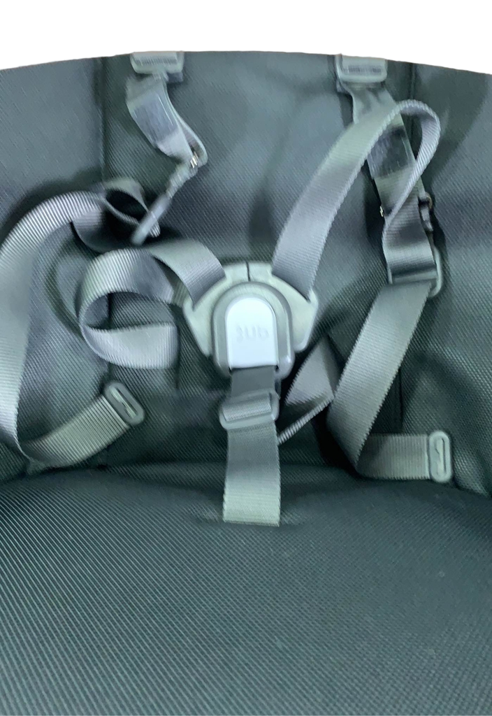 UPPAbaby Vista V2 Toddler Seat, 2021