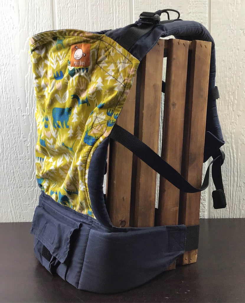 Baby Tula Standard Carrier