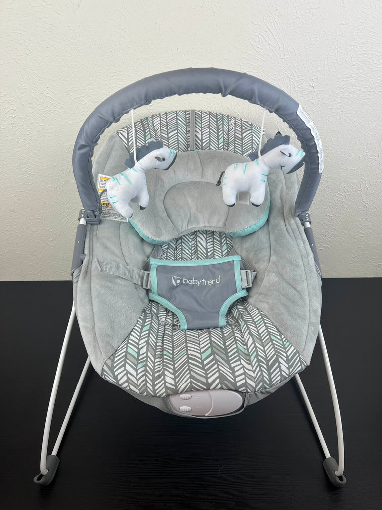 Baby Trend EZ Bouncer, Ziggy