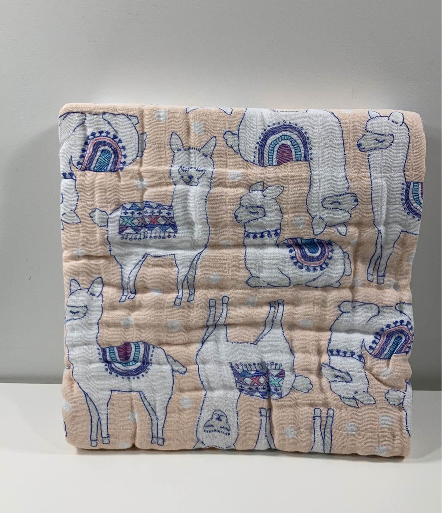 Aden + Anais Silky Soft Dream Blanket