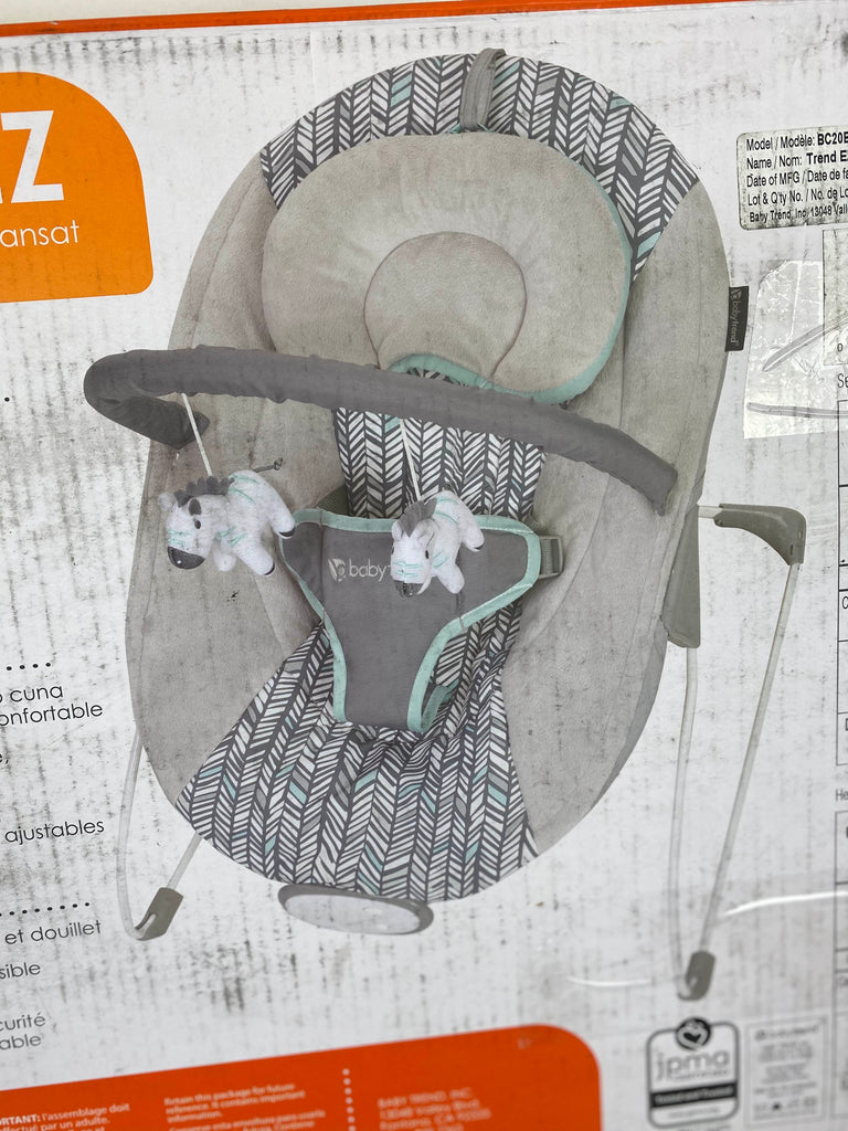 Baby Trend EZ Bouncer, Ziggy