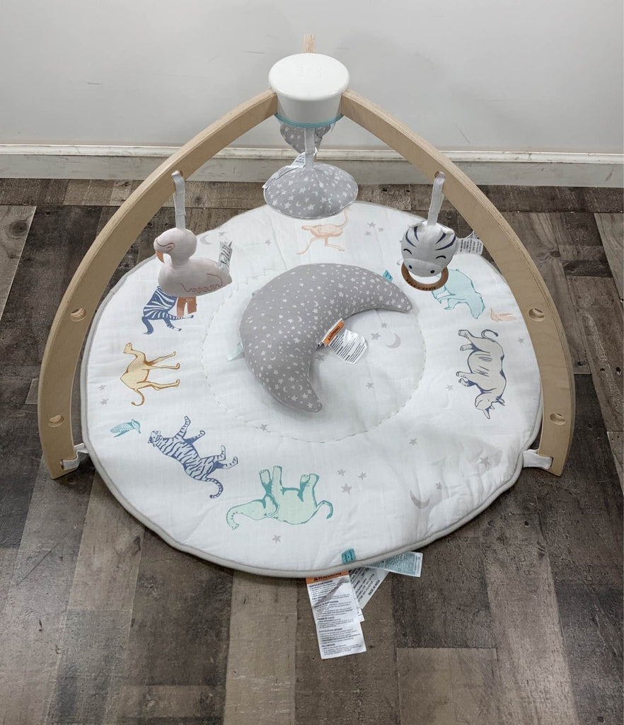 Aden + Anais Play + Discover Baby Activity Gym