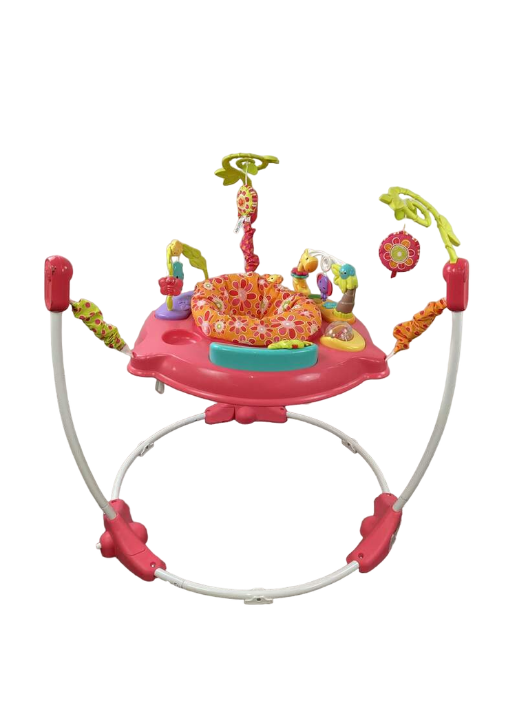Fisher Price Jumperoo Activity Center, Pink Petals