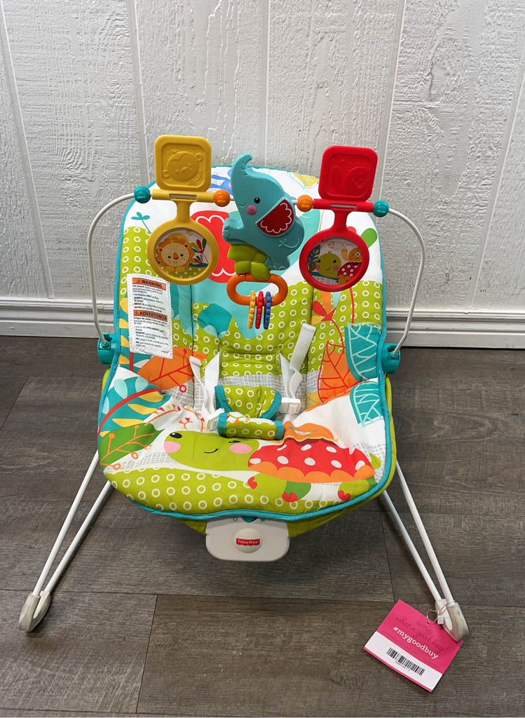 Fisher Price Baby Bouncer