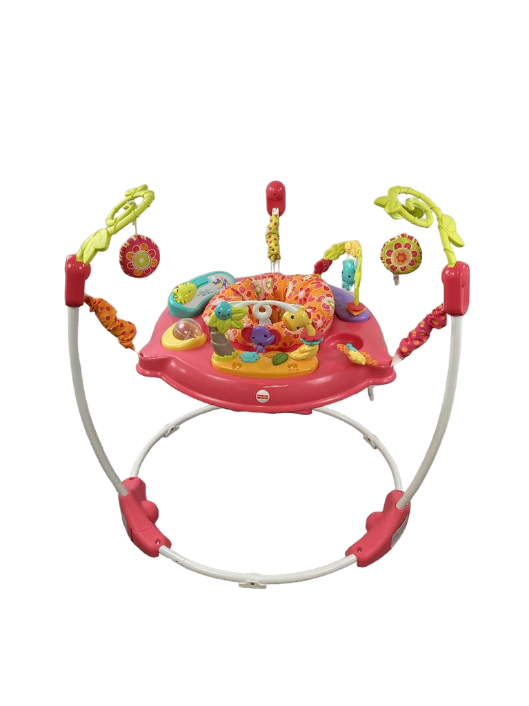 Fisher Price Jumperoo Activity Center, Pink Petals