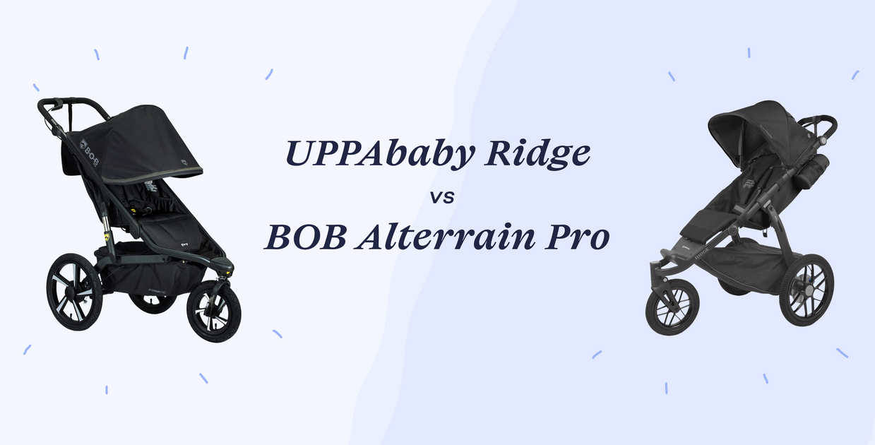 uppababy vista car seat adapter nuna Minu Adaptor for Maxi-Cosi, and Cybex Infant Car Seats, Black Shakespeare Ugly Stik Elite Size:Extra Small: 46-50 cm Compatible with a wide comf:seat dimensions:10.2L x 7.5W x 4.5H in