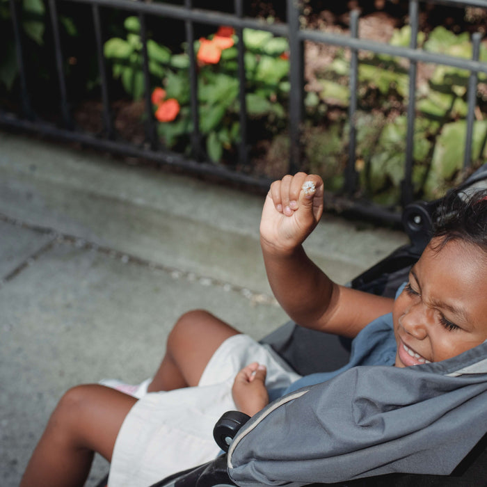 The Best Disney-Approved Strollers for 2025: Complete Guide for Parents