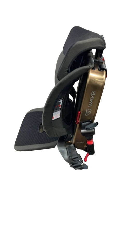 Shop WAYB Pico Portable Car Seat, 2019, Earth at GoodBuy Gear