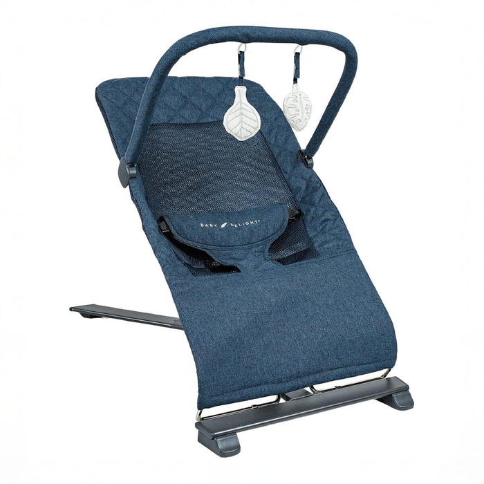 Shop Baby Delight Alpine Deluxe Portable Bouncer, Quilted Indigo at GoodBuy Gear
