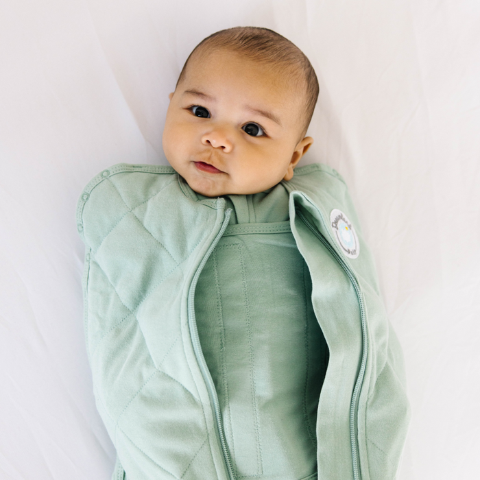 Shop Dreamland Weighted Sleep Swaddle, Size 0-6 Months, Various Colors at GoodBuy Gear