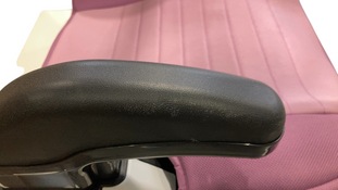 Shop Graco TurboBooster 2.0 Backless Booster Car Seat, 2023, Anna at GoodBuy Gear