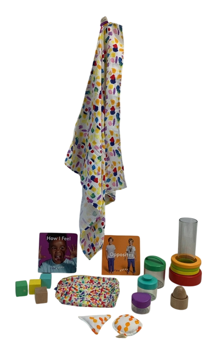 Shop Lovevery The Explorer Play Kit at GoodBuy Gear