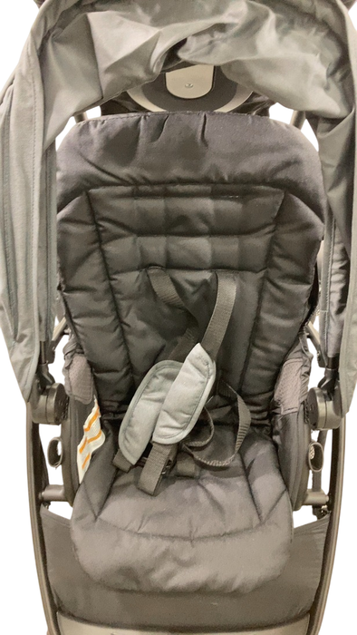 Shop Graco Ready2Grow 2.0 Double Stroller, 2024, Rafa at GoodBuy Gear