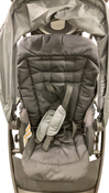 Shop Graco Ready2Grow 2.0 Double Stroller, 2024, Rafa at GoodBuy Gear