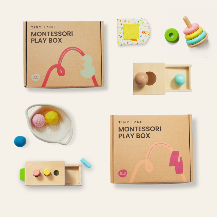 Tiny Land® Montessori Early Skills Baby Set（7–12 months)