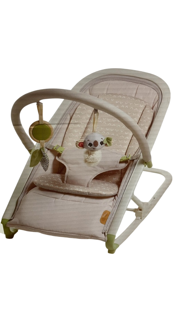 Tiny Love 2-In-1 Rocker, Boho Chic — GoodBuy Gear