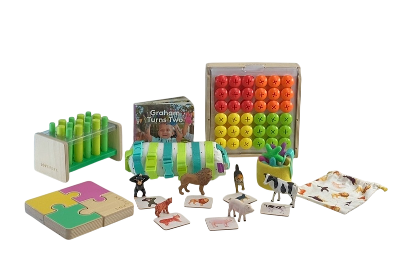 Lovevery The Companion Play Kit