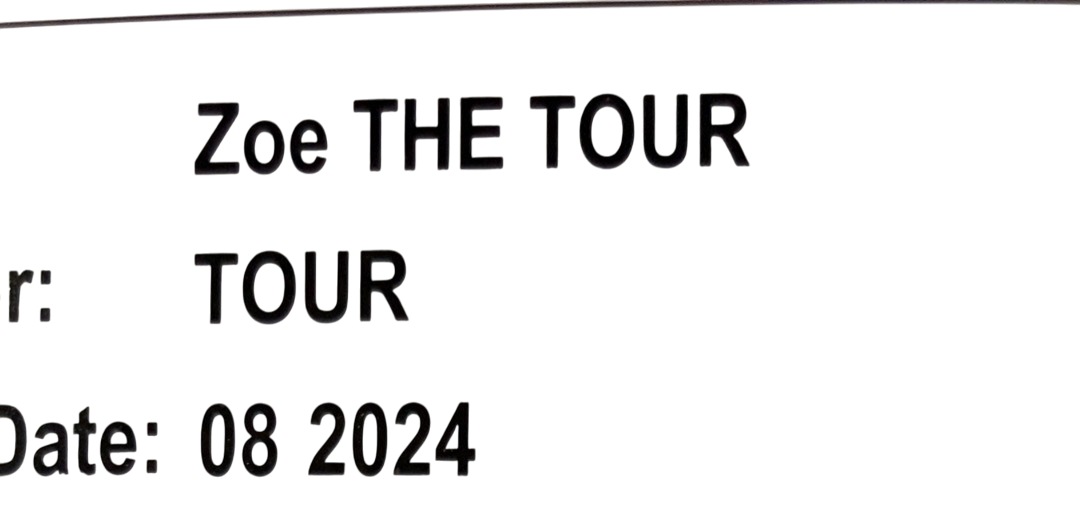 Shop Zoe The Tour Stroller, Green, V2, 2024 at GoodBuy Gear