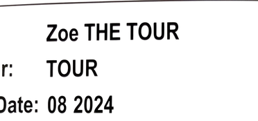 Shop Zoe The Tour Stroller, Green, V2, 2024 at GoodBuy Gear