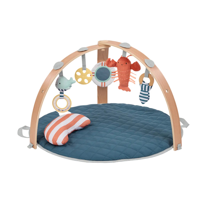 Ingenuity Cozy Spot Reversible Activity Gym, Harbor Haven