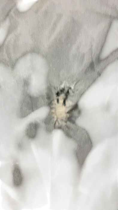 Shop Mockingbird Single 2.0 Stroller, 2024, Sea, Silver With Penny Leather, Windowpane at GoodBuy Gear