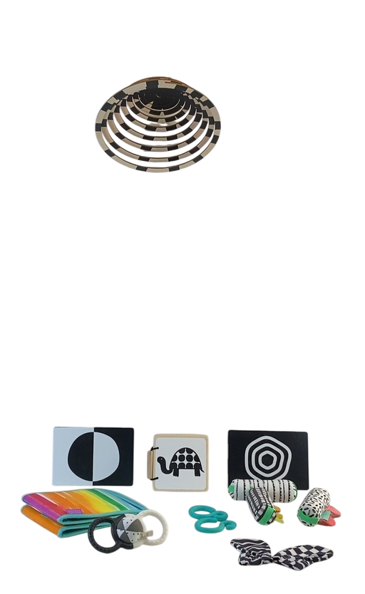 Shop Lovevery The Looker Play Kit at GoodBuy Gear