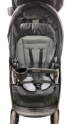 Shop Graco Ready2Grow 2.0 Double Stroller, 2022, Rafa at GoodBuy Gear
