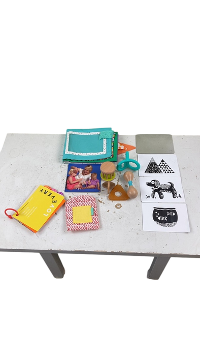Shop Lovevery The Charmer Play Kit at GoodBuy Gear