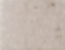 Shop Wildbird Aerial Carrier, Desert Lark, XS-XL at GoodBuy Gear