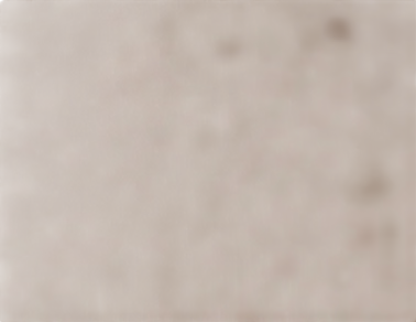 Shop Wildbird Aerial Carrier, Desert Lark, XS-XL at GoodBuy Gear