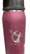 Shop Ceres Chill Legacy Breastmilk Chiller (32oz), Plum at GoodBuy Gear