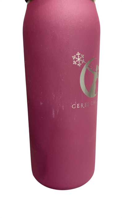 Shop Ceres Chill Legacy Breastmilk Chiller (32oz), Plum at GoodBuy Gear