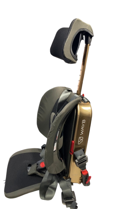 Shop WAYB Pico Portable Car Seat, 2023, Earth at GoodBuy Gear