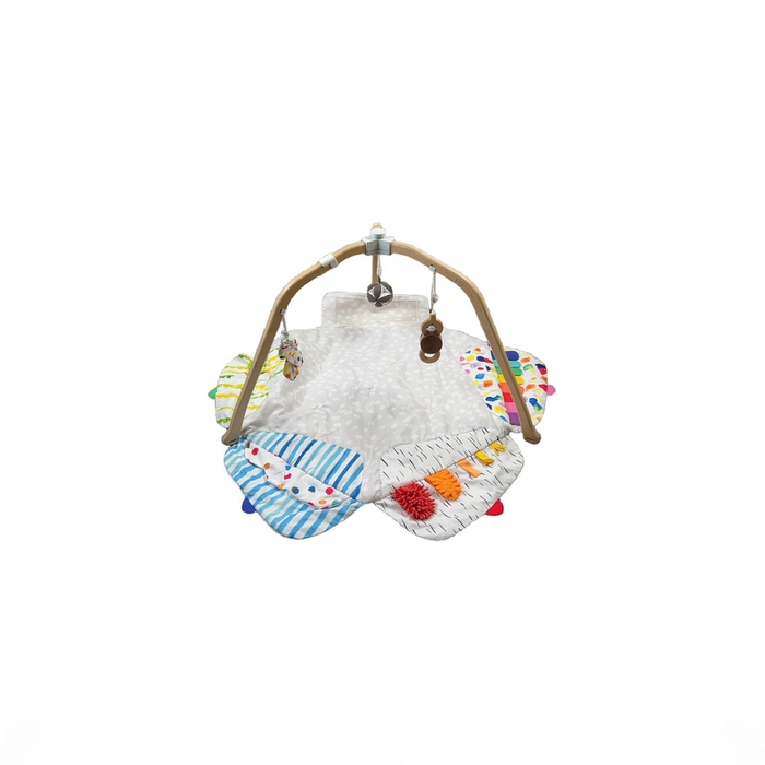 Shop Lovevery The Play Gym, Multi-Color at GoodBuy Gear