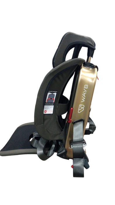 Shop WAYB Pico Portable Car Seat, 2022, Earth at GoodBuy Gear
