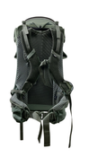 Shop Thule Sapling Child Carrier, Agave at GoodBuy Gear
